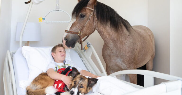 lichtblickhof thumbnail c2eabd30