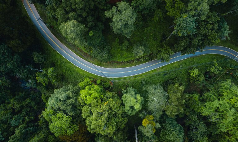 aerial view road and green forest,green environment